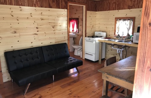 Moran Cabin | Relaxing Cabin #3 with Lake Views Near Brevort Lake