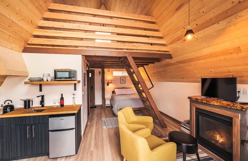 Stevenson Cabin | Pet-Friendly Cottage 3: A-Frame Retreat with Spa Amenities