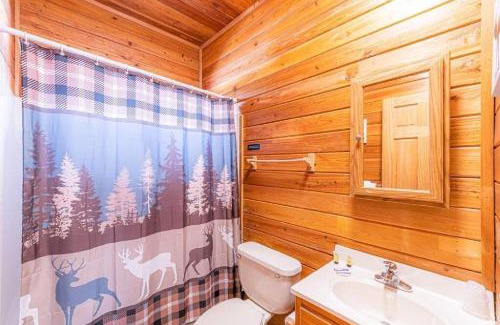 Christopher Creek Ski Chalet | Inviting Black Bear Cabin #5 - Pet Friendly with Game Room
