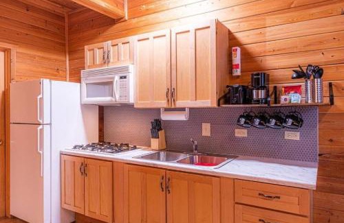Christopher Creek Ski Chalet | Inviting Black Bear Cabin #5 - Pet Friendly with Game Room
