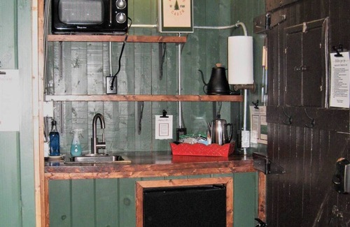 Cadillac Cabin | Pet-Friendly Cabin #5 - The Ellie Mae: 10/10 Guest Rated