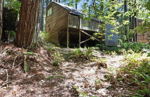Sea Ranch Hotel | Cozy Cabin 55: Pet-Friendly Retreat with Pool & Hot Tub