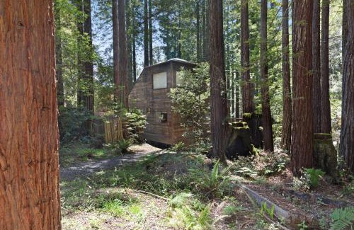 Sea Ranch Hotel | Cozy Cabin 55: Pet-Friendly Retreat with Pool & Hot Tub