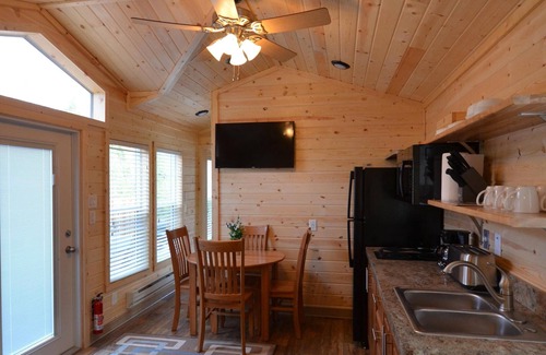 Christopher Creek Cabin | Cozy Cabin #6: Pet-Friendly Retreat Overlooking the Creek