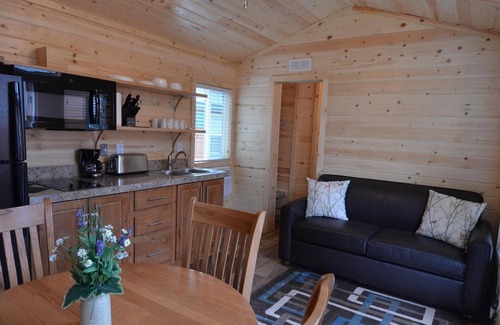 Christopher Creek Cabin | Cozy Cabin #6: Pet-Friendly Retreat Overlooking the Creek