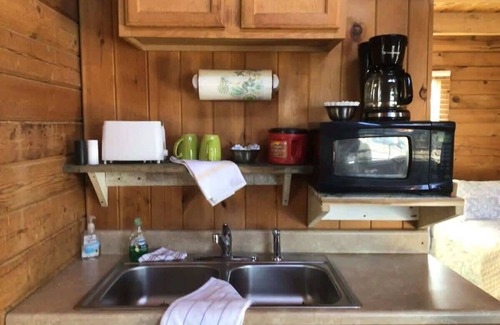 Columbia Cabin | Cozy Log Cabin Escape Near Green River Lake Park