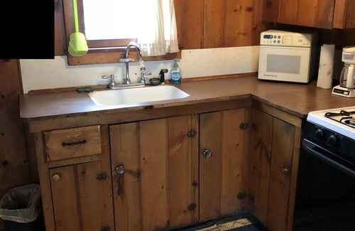 Carp Lake Cabin | Wapashuwi Cabin #6: Scenic Lake Views & Pet-Friendly Stay