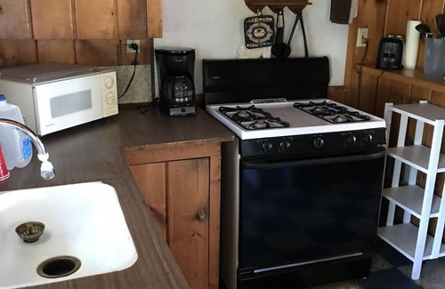 Carp Lake Cabin | Wapashuwi Cabin #6: Scenic Lake Views & Pet-Friendly Stay