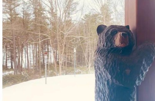Lock Haven Cabin | Cozy Cabin Near Pine Creek with ATV Access and Ocean View