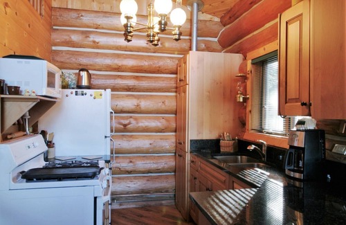 Maple Falls Cabin | Pet-Friendly Cabin #97: Cozy Retreat with Spa & Hot Tub