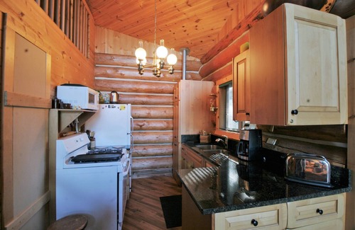 Maple Falls Cabin | Pet-Friendly Cabin #97: Cozy Retreat with Spa & Hot Tub