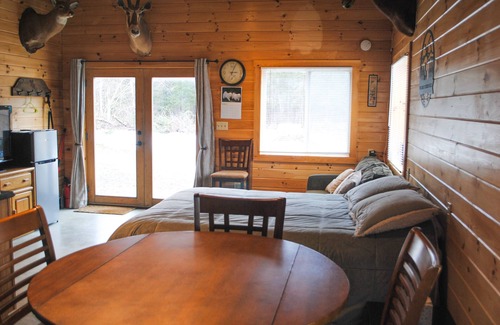 Guildhall Cabin | Relax at Hidden Falls Guest Cabin: Rated 9.6/10, Pet Friendly