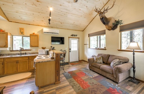 Bayfield Cottage | Cozy Cabin at the Little Ranch: Hiking & Family Fun!