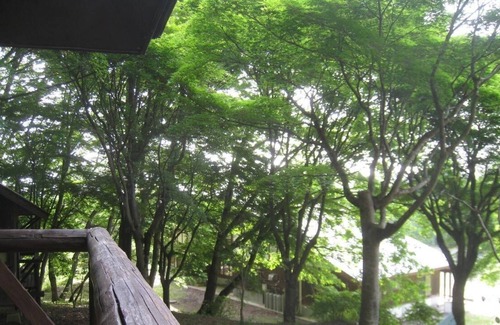 Hitachiomiya RV Rental | Cozy Cabin B for 4 in Hitachi Omiya City, Ibaraki