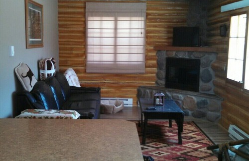 Grayling Cabin | Cozy Cabin by North Branch AuSable River - 9.6/10 Rating