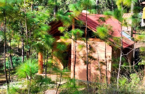 Mazamitla Cabin | Cabin for 2 in San Giussepe Forest