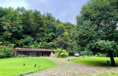 Xico House | Cabin in a magical place. (Citlalapa)