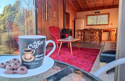 Panguipulli Cabin | Cabin in Coñaripe on the riverbank