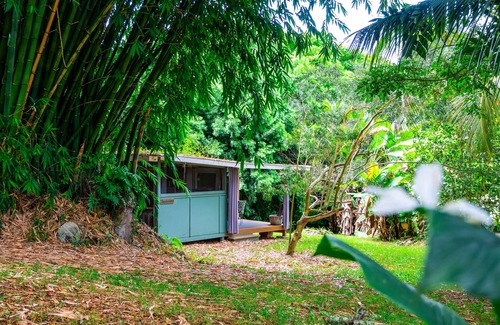 Kealakekua Cabin | Relaxing Hawaii Bamboo Grove Cabin with Spa and Restaurant