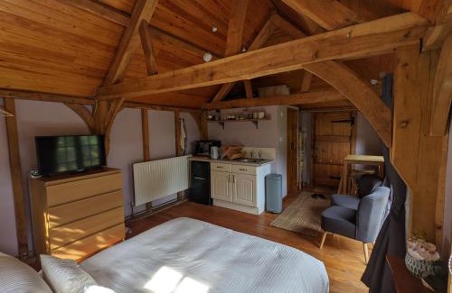 New Forest District Apartment | Forest Cabin Retreat - Guest Rated 9.7/10