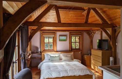 New Forest District Apartment | Forest Cabin Retreat - Guest Rated 9.7/10
