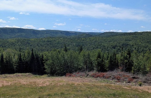 Stoney Creek Cabin | Cabin in THE WOODS.Enjoy peace and tranquility.