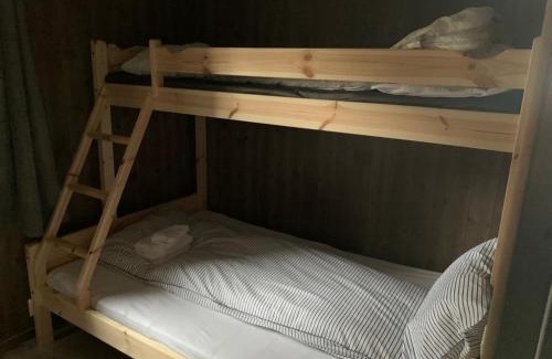 Trysil House | Eco-Friendly Cabin in Trysil Mountain Arena with Ocean View