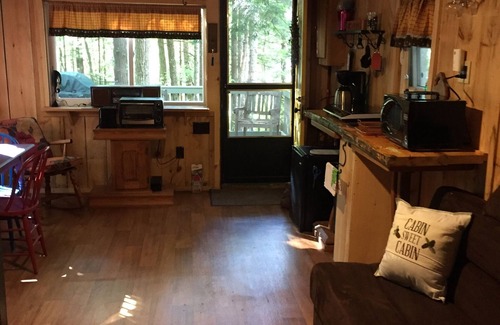 Manchester Cabin | Cozy Cabin Retreat in the Woods with Lake Access
