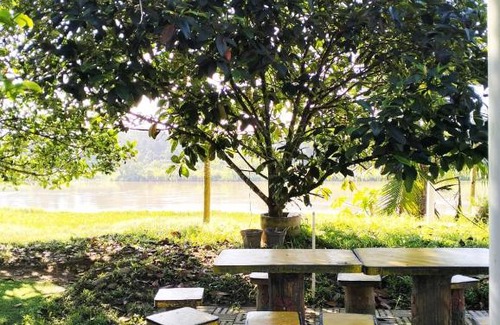 Kampung Kuala Kenas Hotel | Discover Family-Friendly Comfort at Cabin Jambul Mas