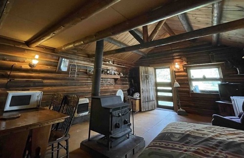 Barnum Cabin | Cozy Cabin on a Private Lake with Oceanfront Views