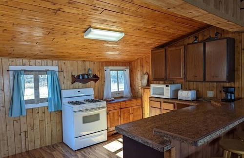 Au Train Cabin | Scenic Cabin on Au Train Lake with Family-Friendly Amenities