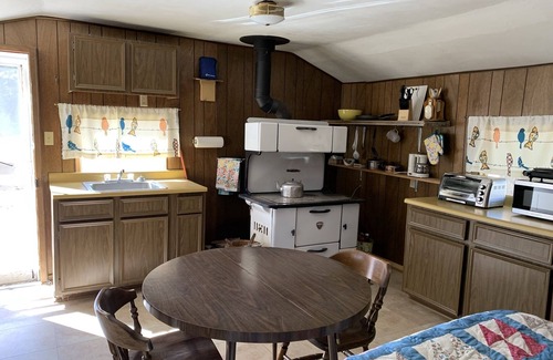 Creede Cabin | Idyllic Cabin on the Rio Grande with Private Fishing Access