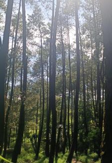 Pangalengan Other | Cabin rahong riverside
