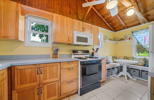 Clarklake Cabin | Rustic Elegance Cabin with Hot Tub & Lake Access, Rated 9.8