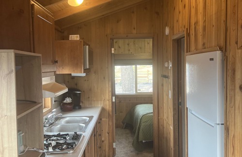 Aurora Cabin | Scenic Cabin with Hot Tub and Breakfast Included