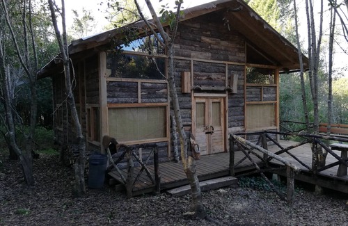 Pucon Cabin | Explore Cabin Wonderful: Rustic Escape with Lake Views