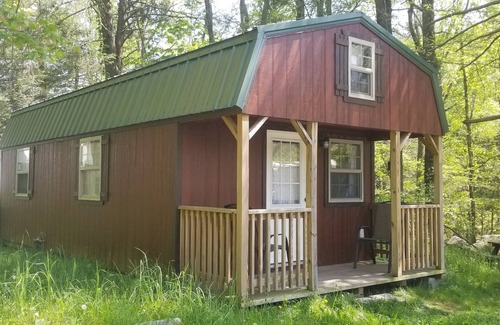 Mount Storm Apartment | Cozy Cabin Z at Abrams Creek: Pet-Friendly and Spa Amenities