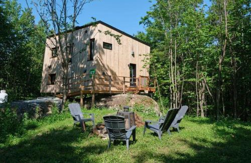 Eastman House | Discover Cabin Zoobox 57: Perfect for Families and Pets