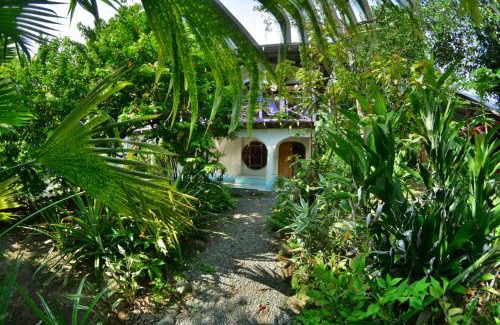 Pavones House | Discover Cabinas Carol: Oceanfront Retreat with Top Amenities