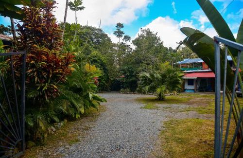 Pavones House | Discover Cabinas Carol: Oceanfront Retreat with Top Amenities