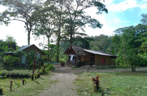 Drake Bay Apartment | Discover Cabinas Casa Jungla: Family-Friendly Getaway
