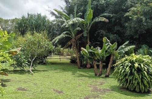 Tilaran Cabin | Cabinas Heide #2 Peace and Tranquility!