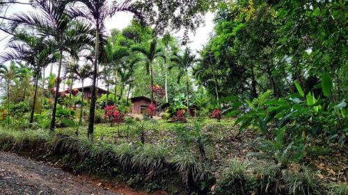 Valle Azul Villa | Relax at Cabinas Valle Azul: Pet-Friendly Oasis with Pool