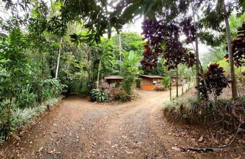 Valle Azul Villa | Relax at Cabinas Valle Azul: Pet-Friendly Oasis with Pool