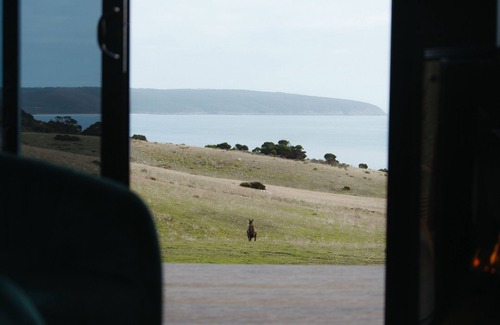 Willoughby Cabin | Oceanfront CABN Kangaroo Island: Private Off-Grid Escape