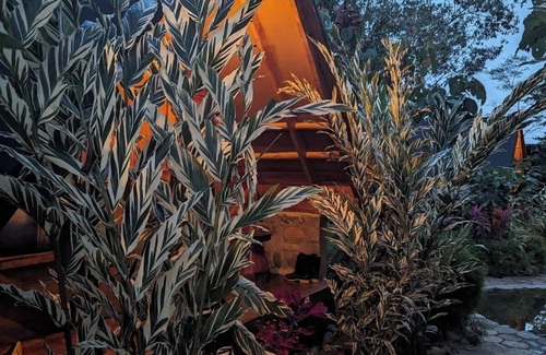 Cotundo Cabin | Cacao Glamping