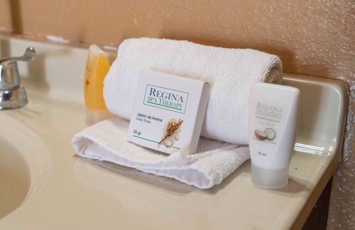 San Jose del Cabo Hotel | Discover Cactus Inn Los Cabos: Poolside Family Escape
