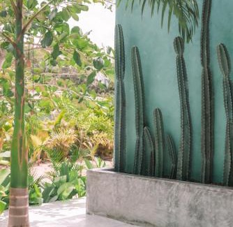 Pipa Hotel | Top-Rated Cactus Lodge Pipa: Pet-Friendly & Pool Access