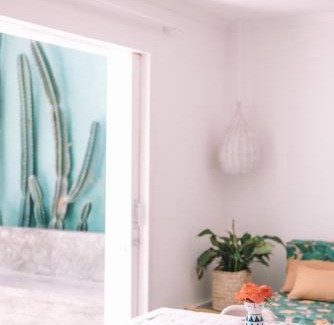 Pipa Hotel | Top-Rated Cactus Lodge Pipa: Pet-Friendly & Pool Access