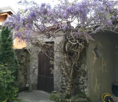 Gonte Apartment | Pet-Friendly Cadebei: 4-Star Gem with Exceptional Reviews